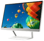 Monitory
