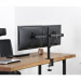 Reflecta FLEXO Desk 32-1010 D stolní držák monitoru
