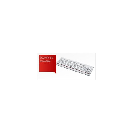 FUJITSU Klávesnice KB521 USB CZ US + 12 multimedia keys - postříkání odolná - marble grey - bílá