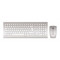 CHERRY set klávesnice + myš DW 8000, bezdrátová, EU, stříbrno-bílá
