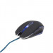 GEMBIRD myš MUSG-001-B optická, modro-černá, 2400 dpi, USB